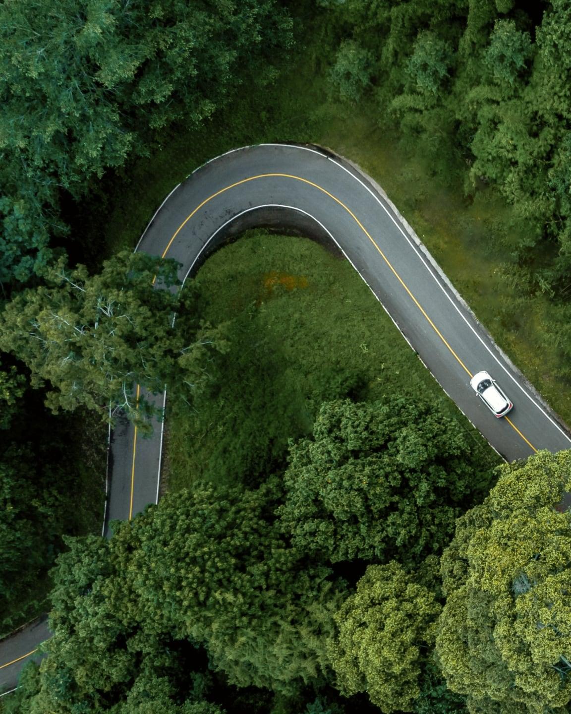 Vogelperspektive von Auto auf Straße im Wald