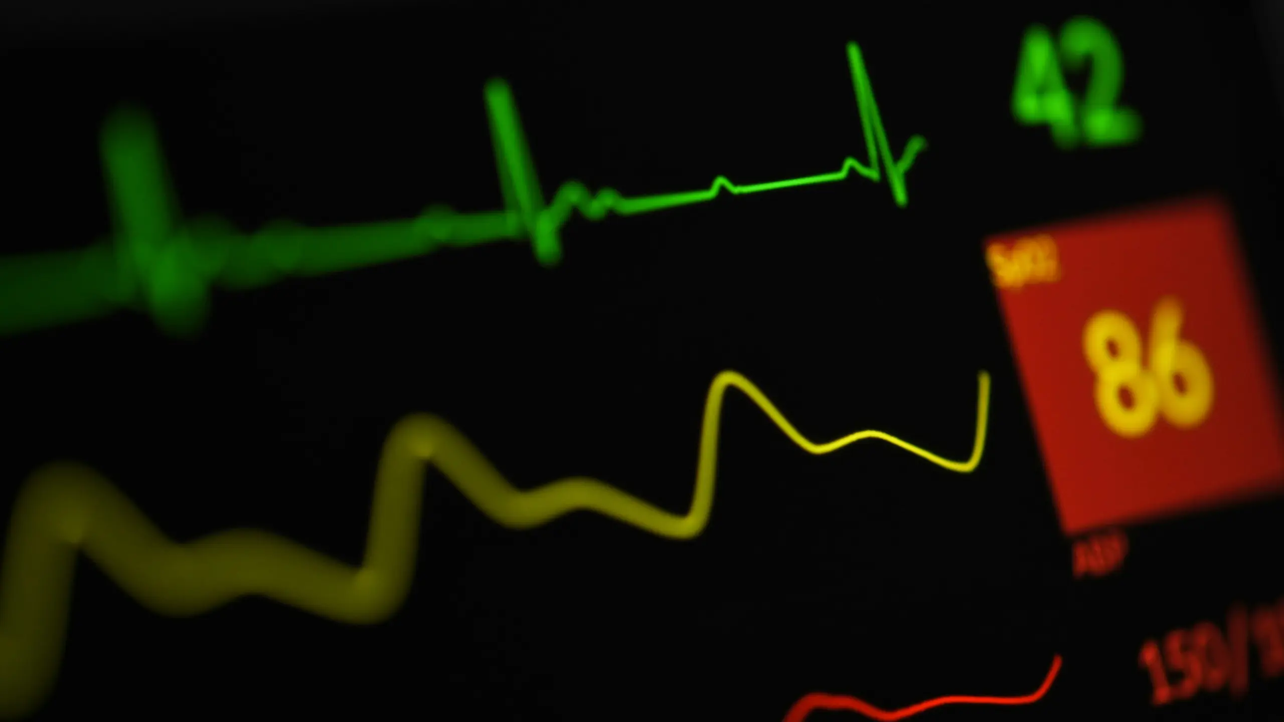 Kardiologie